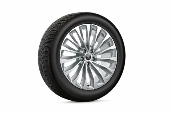 Zimski komplet koles ENYAQ/ELROQ - 235/50 R2